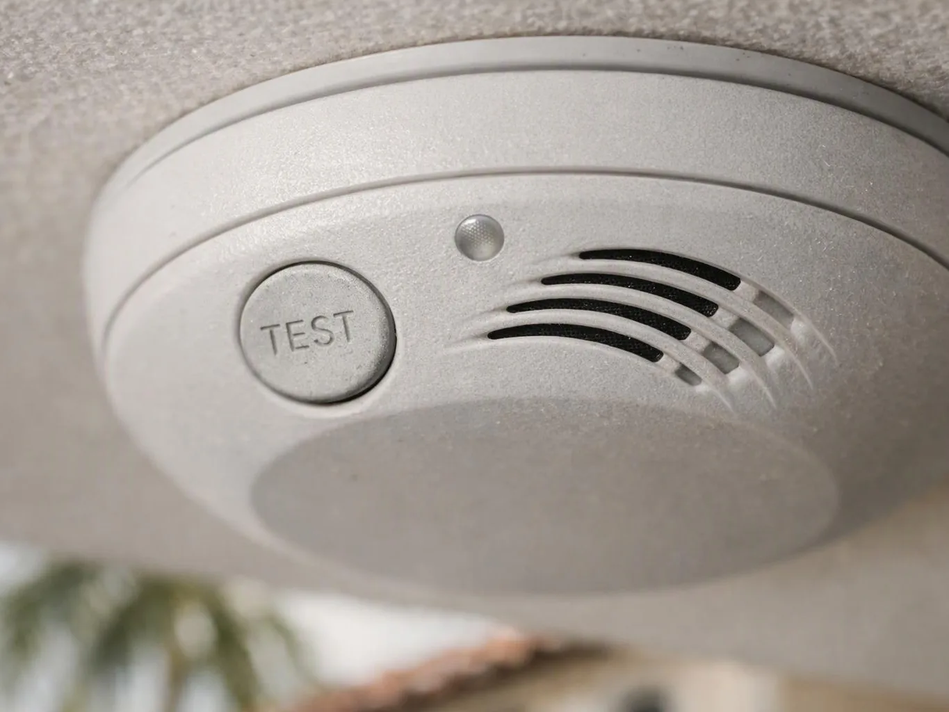 A ceiling smoke detector with a TEST button and vent slits sits against a textured ceiling